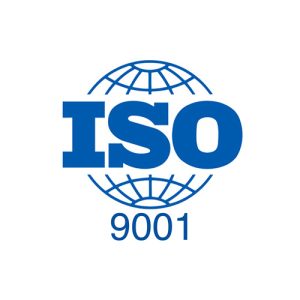 9001|Quality management systems